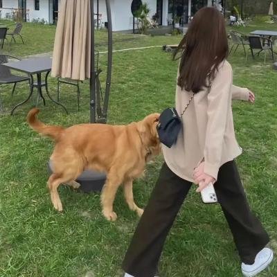 献给你的交响诗